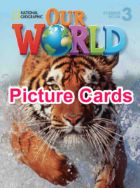 [THẺ FLASHCARD] Our World (1st Edition American) level 3 Picture Cards - 178 thẻ, ép plastics  (dùng được cho cả bộ Explore Our World (1st Edition American) level 3)