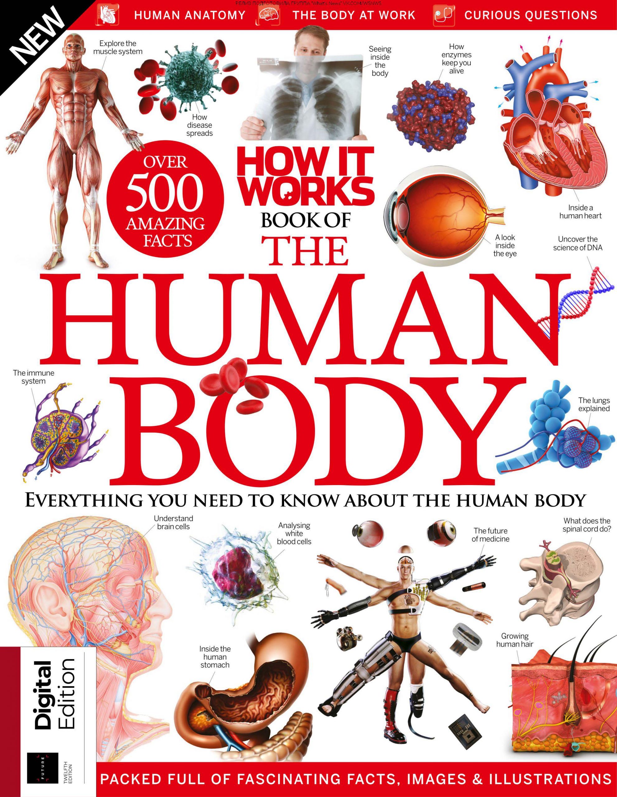 How it works books. How the body works book. How Science works book. Th body book. Minding the body: Workbook.