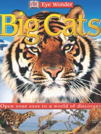 [Sách] DK Eye Wonder - Big Cats – Sách giấy gáy xoắn