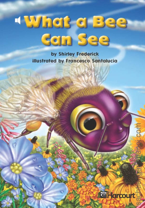 [Truyện] Harcourt Leveled Readers Level 1: What a Bee Can See