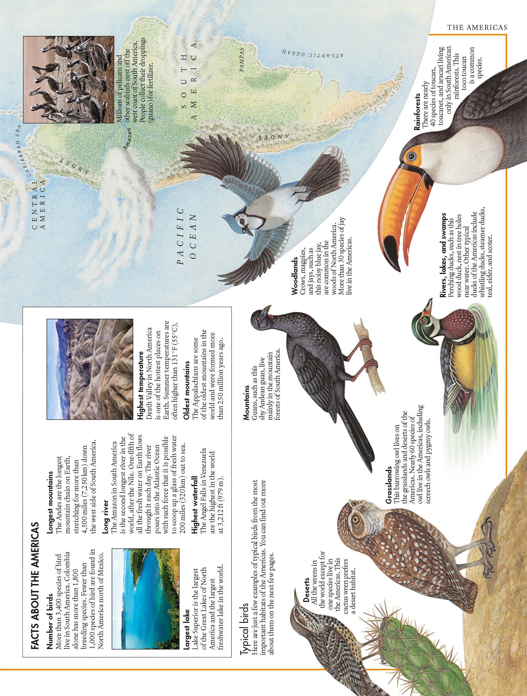 [Sách] The Bird Atlas: A Pictorial Guide to the World’s Wildlife by DK ...