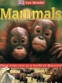 [Sách] DK Eye Wonder - Mammals by DK Publishing – Sách giấy gáy xoắn