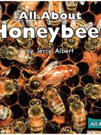 [Truyện] All About Honeybees (All About Series) by Jerry Albert