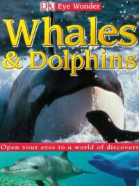 [Sách] DK Eye Wonder - Whales and Dolphins by DK Publishing – Sách giấy gáy xoắn