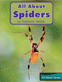 [Truyện] All About Spiders (All About Series) by Stephanie Herbek