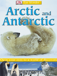 [Sách] DK Eye Wonder - Arctic and Antarctic by DK Publishing – Sách giấy gáy xoắn