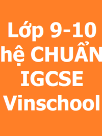 [T][COMBO] Sách LỚP IGCSE  9-10 hệ Chuẩn song ngữ Anh - Việt trường Vinschool  (gồm 14 cuốn sách))  - Sách giấy gáy xoắn