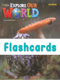 [THẺ FLASHCARD] Explore Our World Starter (SECOND EDITION) - 150 thẻ cỡ A5 có ép plastics